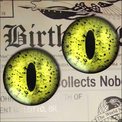 Glass Eyes Speckled Frog Eyeballs Halloween Craft 15mm