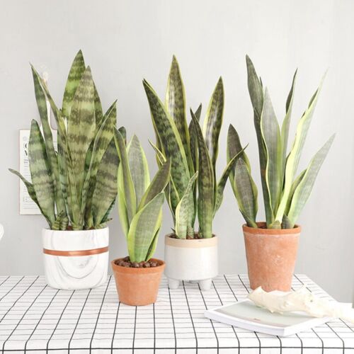 Artificial Snake Plant Fake Flower Simulation Succulent Agave Home Decor New