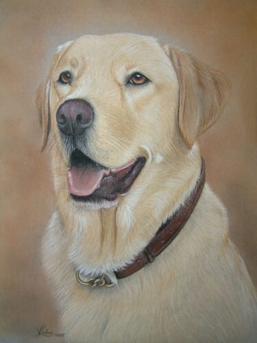 GOLDEN LABRADOR by UK artist 9 Images To Choose From Dog Mousemat 