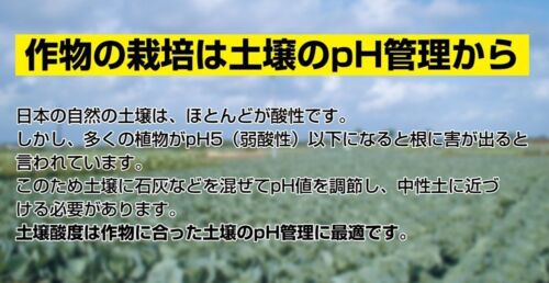 Shinwa 72724 acidité Du Sol Mètre PH testeur Garden Plant Health New Japan