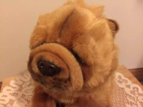 webkinz signature chow chow