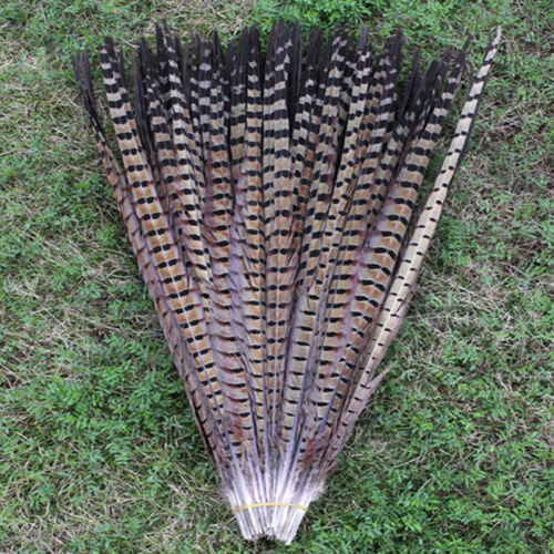 Wholesale 10-100 PCS 25-95cm/10-38inches Natural Color Pheasant Tail Feathers 
