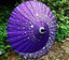 Japanese umbrella costume accessory purple about 85cm in length Japan