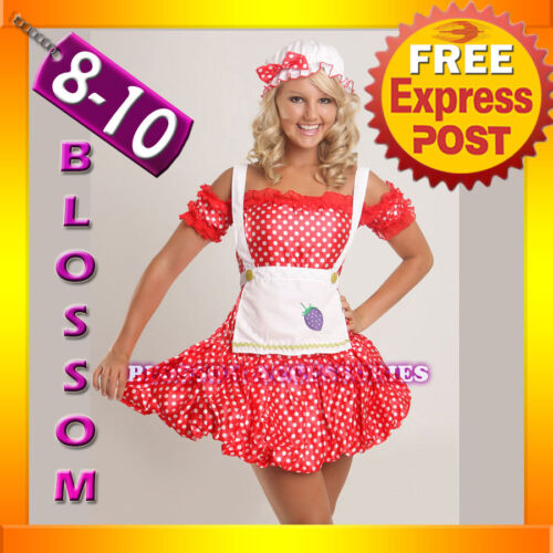 BL4 Strawberry Shortcake Fancy Dress Costume S/M 8/10 