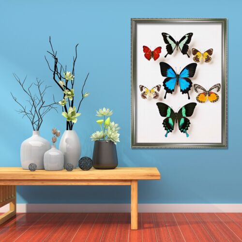 3D Butterfly Specimen 6 Framed Poster Home Decor Print Painting Art AJ AU