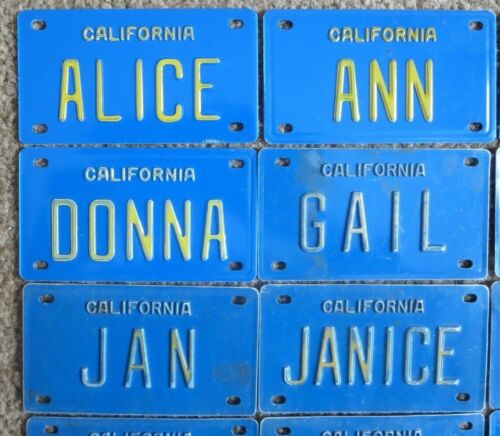 1960/'s California Mini Bike Metal Pedal Car Name License Plate Sign Alice Becky