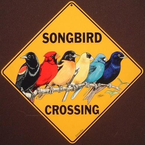 SONGBIRD CROSSING Sign 16 1/2 by 16 1/2 NEW decor art birds signs home novelty 