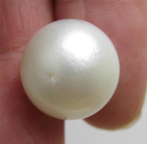 ls165 Genuine Huge 14.2mm Fully Drilled Round White South Sea Loose Pearl