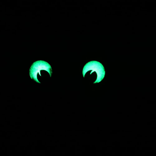 morale velecro patch Glow MAXPEDITION Googly Eyes