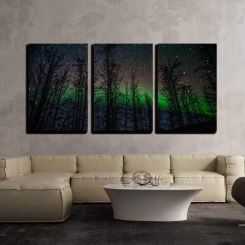 Northern Lights Aurora Borealis 24"x36"x3 Panels Wall26 CVS 