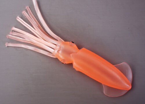 Lot de 5 3D squirt squid fishing lure 7/" crevette thon marlin Mahi-Mahi