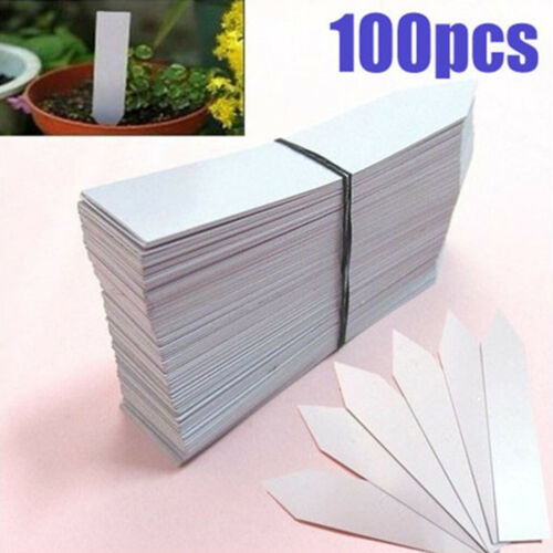 100 Pcs Plastic Plant Seed Labels Pot Marker Nursery Garden Stake Tags 10cm x2cm