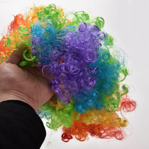 Party Disco Rainbow Afro Clown Hair Football Fan Adult Child Costume Curly Wig T
