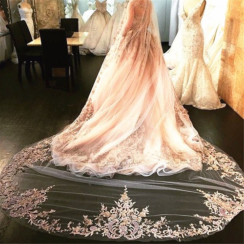 New 1 Tier Champagne Chapel Lace Appliques Bridal Wedding Veil Free Comb 2M
