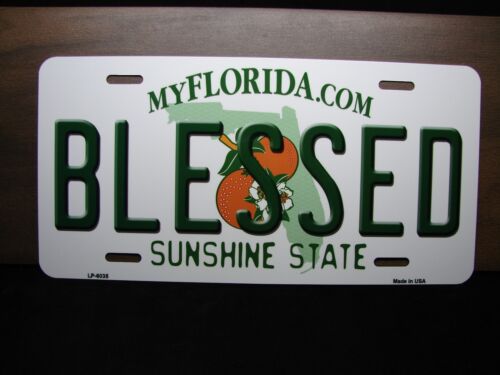 BLESSED FLORIDA METAL LICENSE PLATE TAG FOR CARS FLORIDA STATE LICENSE PLATE