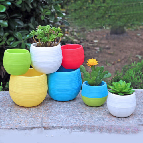 Green Cactus Succulents Plant Flower Pot Plastic Round Pots Garden Home Decor