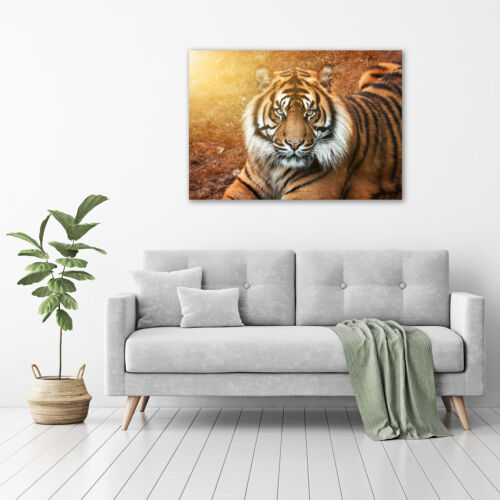 Glas-Bild Wandbilder Druck auf Glas 100x70 Deko Tiere Bengalischer Tiger 