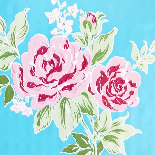 45 x 200 cm lámina autoadhesiva diapositiva Película adhesiva-muebles lámina-Rosy azul-Rosas