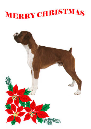 BOXER DOG SINGLE DOG PRINT GREETING CHRISTMAS CARD 