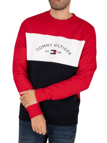 Multicoloured Tommy Hilfiger Men's Embroidered Signature Sweatshirt 