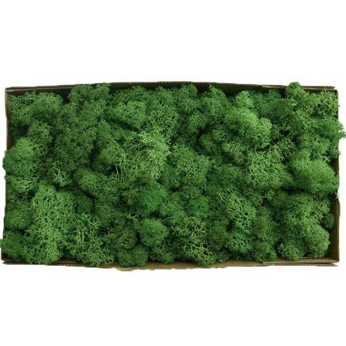 Artificial Plant Moss DIY Fake Plastic Flower Garden Micro Landscape Home Decor