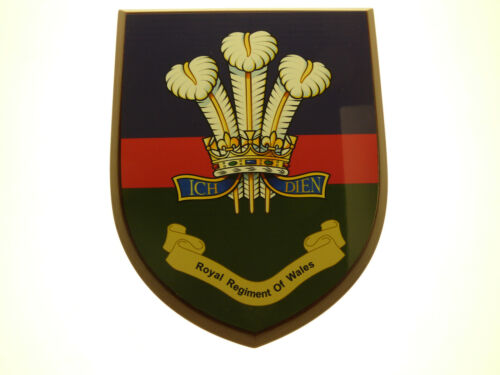 RRW ROYAL REGIMENT OF WALES CLASSIC HAND MADE REGIMENTAL FULL FACE MESS PLAQUE 
