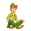 Tinkerbell Disney Peter Pan Hada Hierro Camiseta Transferir Lote SW