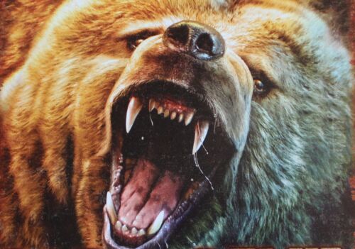 Tin Sign Bear Entering Man Cave Grizzley Violators Will Be Mauled Home Decor