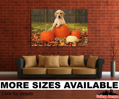 Wall Art Canvas Picture Print - Labrador Retriever Dog Puppy Fall Pumpkin 3.2