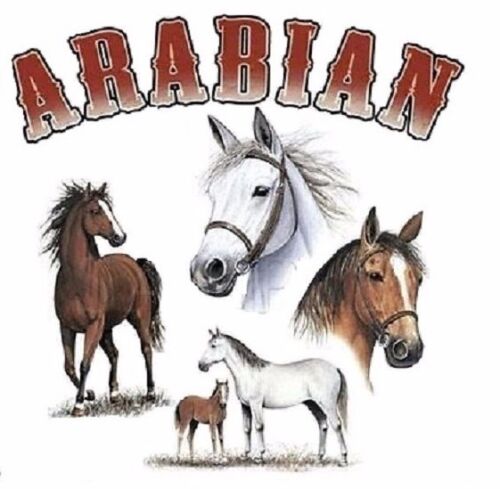Arabian Horse Collage HEAT PRESS TRANSFER for T Shirt Tote Sweatshirt Fabric 243