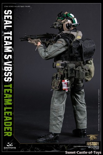 1//6 DamToys US Seal Team 5 VBSS Team Leader 78045 Action Figure Green Helmet DAM