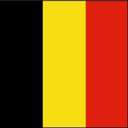 30 Custom Belgium Flag Personalized Address Labels