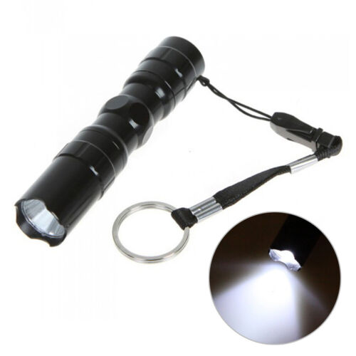 Mini Kleine Wasserdichte Tasche Militär LED Taschenlampe Taschenlampe Lame 
