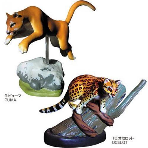 felines Three-dimensional picture book Real Figure box Wildcat Japan Import