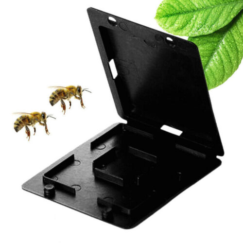 Beekeeping Beehive Hive Beetle Bee Housefly Insect Trap Case Cover Plastic Black