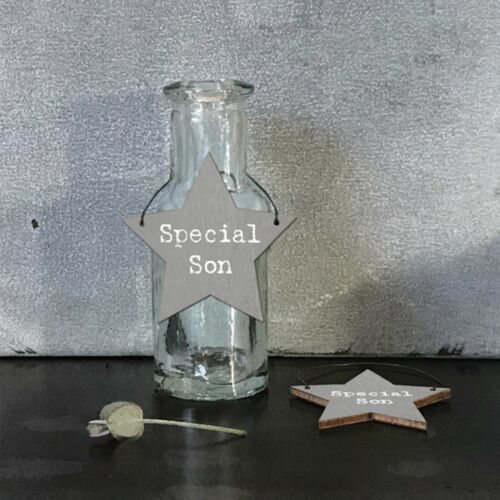 SPECIAL SON Small Wooden Star Tag 4cm Gift Tiny Mini Hanging Sign Message Family 