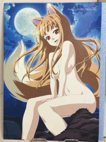 the wolf and spices Anime Manga illustration  Small Chirashi//Flyer//Poster#2