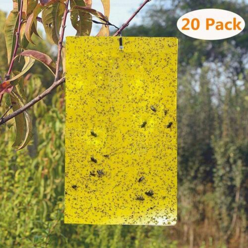 20Pack Dual-Sided Yellow Sticky Traps for Fungus Gnat Whitefly Leafminers Aphid