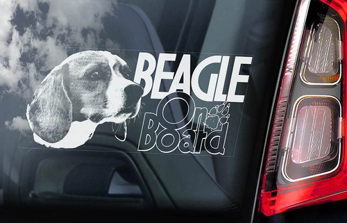 Car Window Sticker Beagle on Board English Dog Sign Decal Gift Idea V02