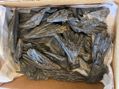 Details about   BLACK KYANITE Crystals One Pound Box HEALING Fans for Jewlery Large & Small 
