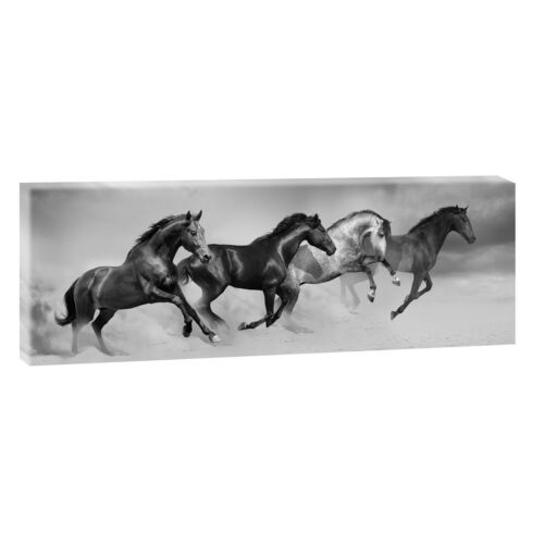 Wilde Pferde 1 sw Bild Leinwand Poster Modern Design Panorama  120 cm* 40 cm 668