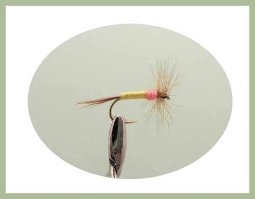 White Moth Tupps /& Caenis Mixed 12 to 16 Dry Trout Flies,18 Pack Fly Fishing
