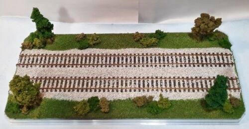 FOR ANY HO TRAIN TRAIN DISPLAY CASE HO SCALE 16" DOUBLE TRACK "SUMMER SCENE" 