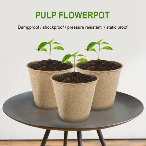 10//50Pcs Biodegradable Pots Plant Seedling Saplings /& Herb Seed Mini Pot