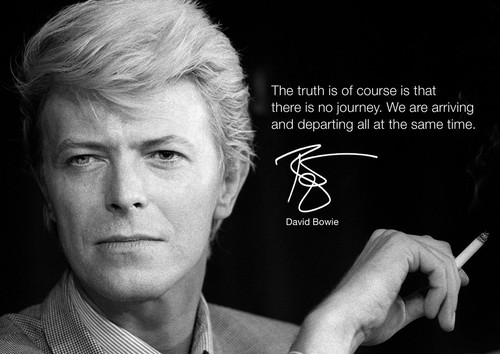 David Bowie 13 English Rock Star Legend Music Icon Actor Songwriter Poster B/&W