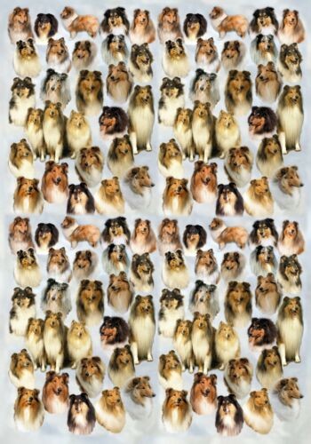 Semi gloss with matching card Rough Collie Dog Wrapping Paper by Starprint