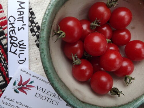 45+ Samen AKTION! Kirschtomaten Paket aus 9 Sorten Cherry Tomato