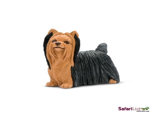 safari LTD 250929 Yorkshire terrier 6 cm série Astérisque Le exposition