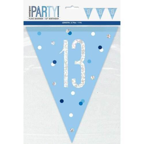 13th-100th Blue Triangle Birthday Flag Pennant Banner 9ft Party Decorations 