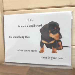 Dachshund Novelty Sign fun dog humour sausage dog daxie small word 